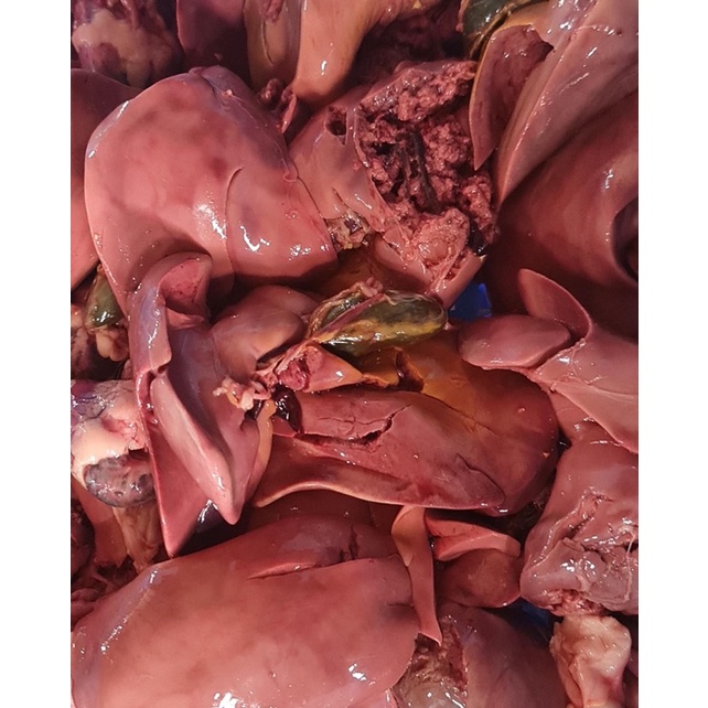 Gan gà sạch loại 1  - Thức ăn cho thú cưng chó mèo