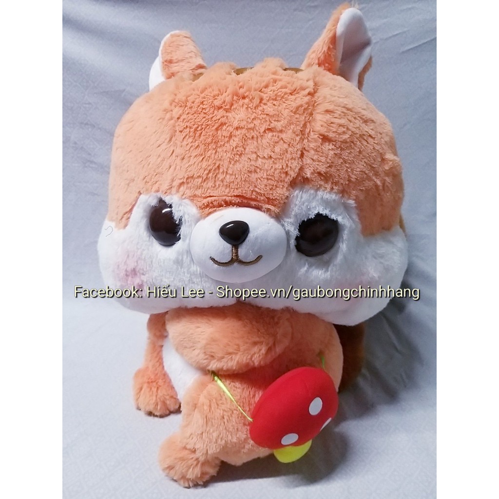 Gấu Sóc Nâu Puchippo, size to 40cm, lông đẹp mịn, hàng xịn chính hãng Nhật Bản, mới 100%, full tem tag giấy