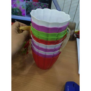 Chậu viền mai 200k