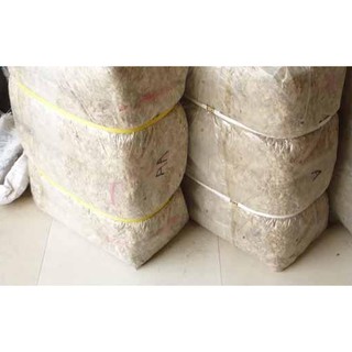 Dớn Chile loại 1- chilemoss