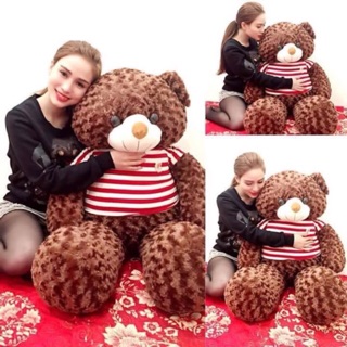 Gấu teddy 1m