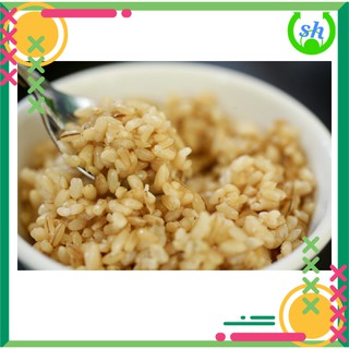 [HCM]Nếp lứt + men - 1KG