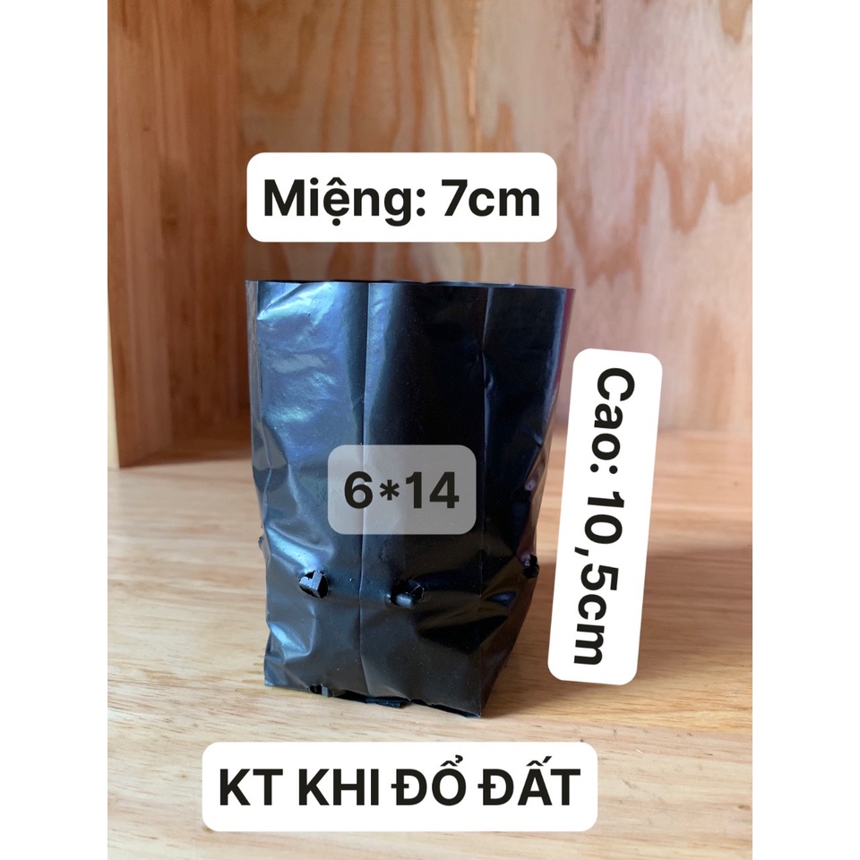 500G TÚI ƯƠM CÂY GIỐNG MÃ 6*14 (BẠT PHỦ ĐẤT CHỐNG CỎ, KEO LIỀN SẸO CÂY, KÍCH RỄ MẦM ...)