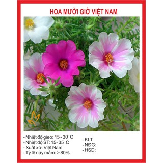 Combo Hạt Giống 100K tùy chọn