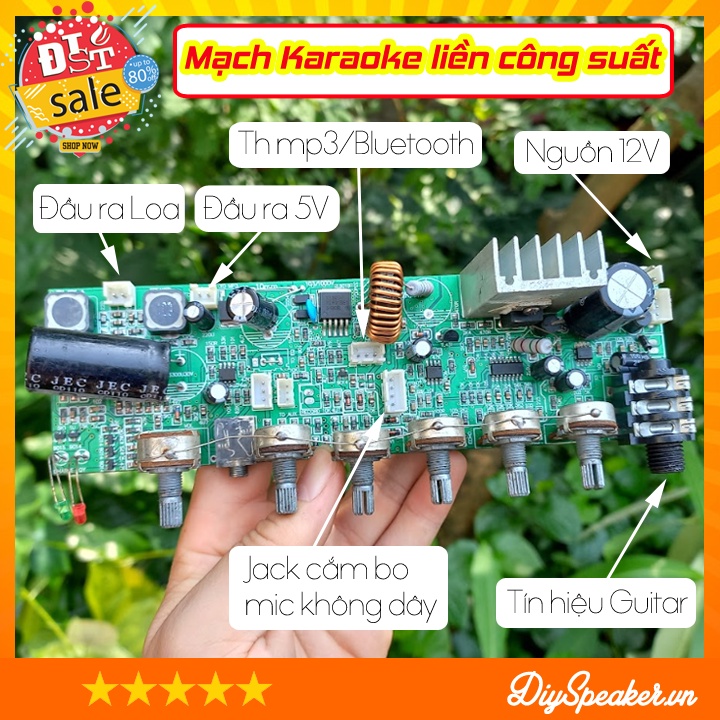 Mạch karaoke chế loa xách tay liền công suất 80W