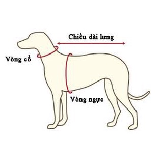 🐶🐱 ÁO CHÓ MÈO 2 CHÂN CHẤT NỈ CO DÃN
