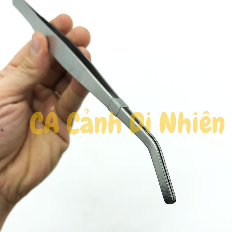 Nhíp mũi CONG trồng cây thủy sinh bằng inox SIZE 25 cm