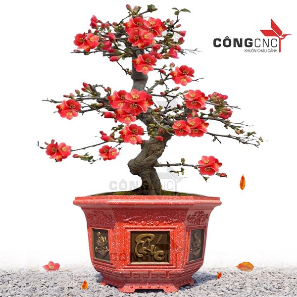 Khuôn Đúc Chậu Xi Măng Lục Giác 38 Phúc - Lộc - Thọ - Sen - Tết - Tài