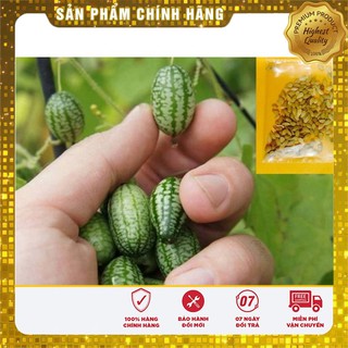 COMBO 12 GÓI HẠT GIỐNG TÍ HON CỰC KUTE