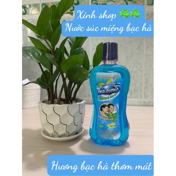 Nước súc miệng hương bạc hà chai 500ml hàng chính hãng sao thái dương