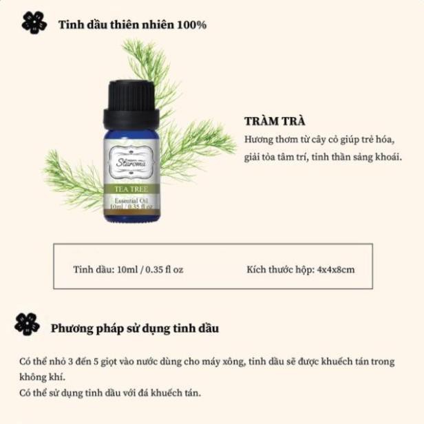 Tinh Dầu Thiên Nhiên Tràm Trà 10ml Aromate- Taiwan Hub