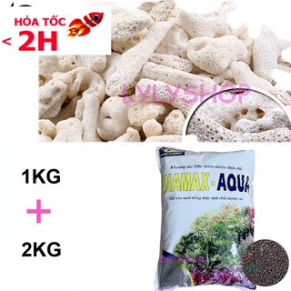 San hô 1KG vật liệu lọc,tăng PH,trang trí bể cá + Đất nền thủy sinh Diamax aqua 2KG giàu dinh dưỡng, giúp cây phát triển