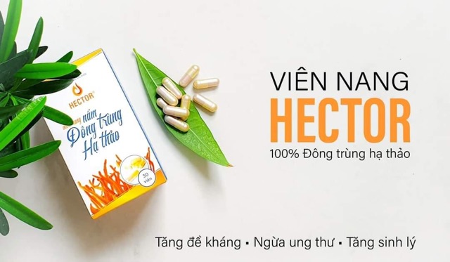 &quot;ĐÔNG TRÙNG HẠ THẢO HECTOR dạng Viên Nang (30 viên).