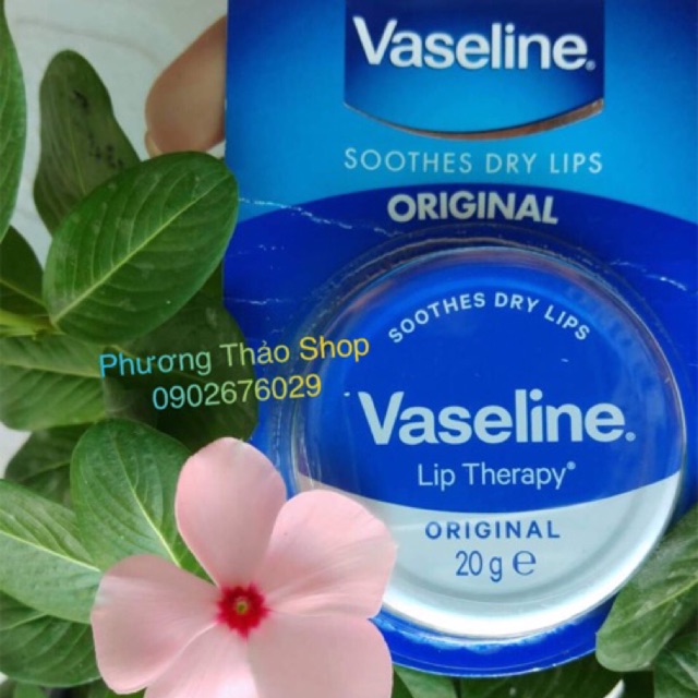 KEM DƯỠNG MÔI VASELINE 20g | BigBuy360 - bigbuy360.vn