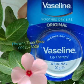 KEM DƯỠNG MÔI VASELINE 20g