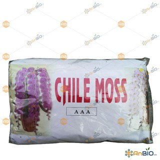 DỚN TRẮNG CHILE MOSS AAA Gói 100g GIÁ THỂ TRỒNG LAN - A6.1003