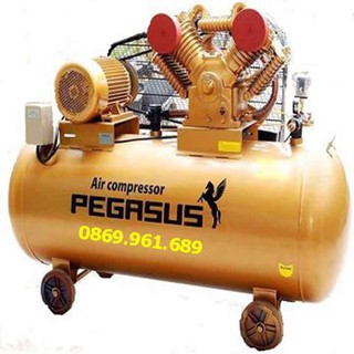 Máy nén khí Pegasus TM-V-0.25/8 - 120L
