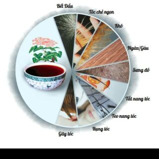Găng tay gội đầu dưỡng sinh