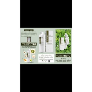 [GIÁ TỐT] Nước Súc Miệng Diệt Khuẩn PHYTO (Phyto Fresh & Natural Mouthwash) 250ml
