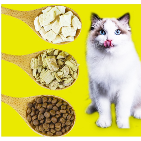 Ức Gà, Gan Sấy Cho Chó Mèo Túi 100gram