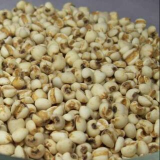 Ý dĩ 1kg hạt bobo