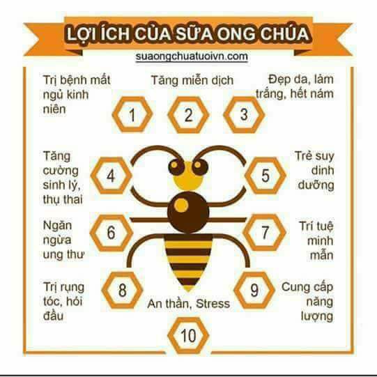 Sữa ong chúa 2T (dạng kem)