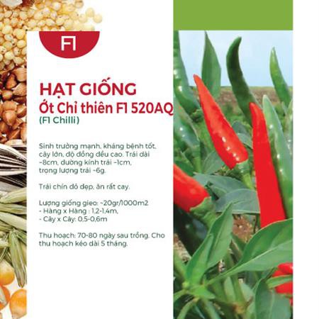 Combo 10 loại hạt giống rau củ quả quen thuộc thường dùng F1508 - AN AN SAIGON