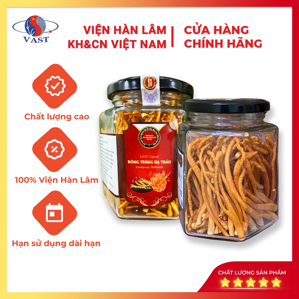 Đông Trùng Hạ Thảo Sấy Thăng Hoa 12g - Sản Phẩm Chính Hãng Viện Hàn Lâm KH&CN Việt Nam Nâng Cao Sức Đề Kháng [Mẫu Đỏ]