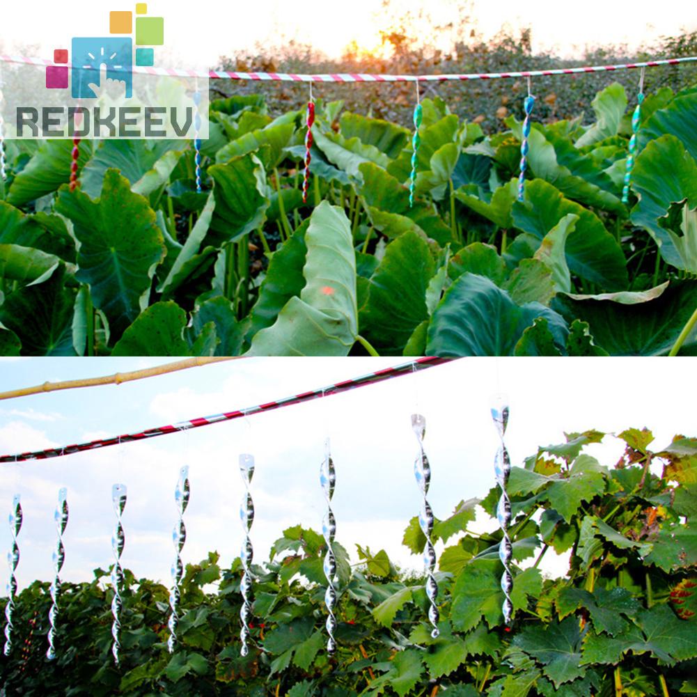 Set 6 Que Xoắn Ốc Phản Quang Đuổi Chim Trang Trí Sân Vườn