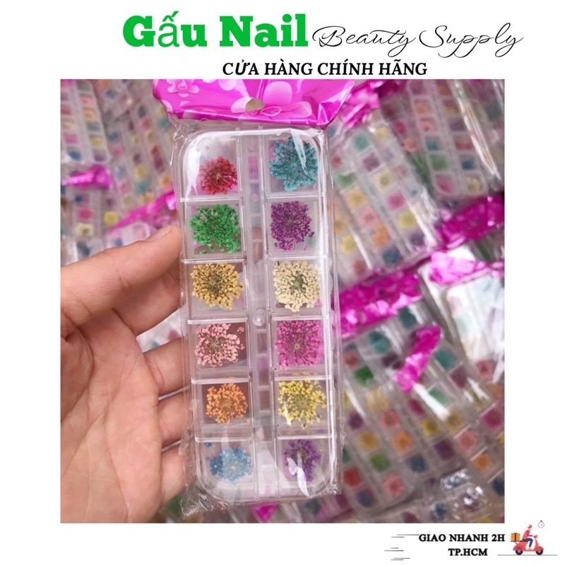 Hoa khô chùm đắp gel ẩn móng - Set hoa khô nail trang trí móng