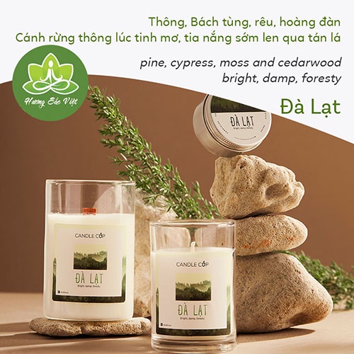Nến thơm Candle Cup mùi Đà Lạt