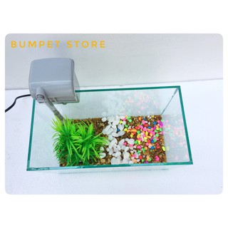 🐟 Bể cá mini 🐟 và lọc thác treo size 30cm [Tặng kèm phụ kiện và đồ ăn cá]