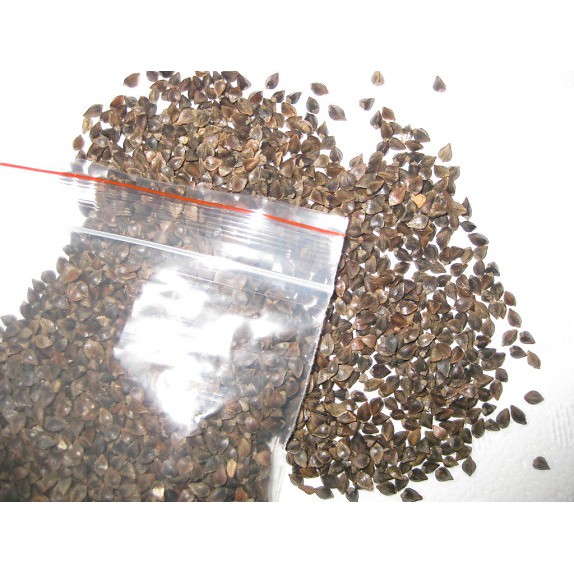 Hạt ba khía gói 500g