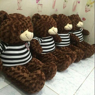 Gấu bông teddy khổ vải 1m