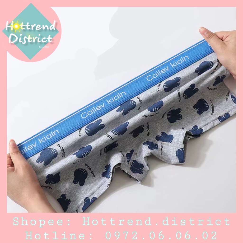 Quần Boxer, sịp Nữ/Tomboy hoạ tiết hoạt hình nhỏ