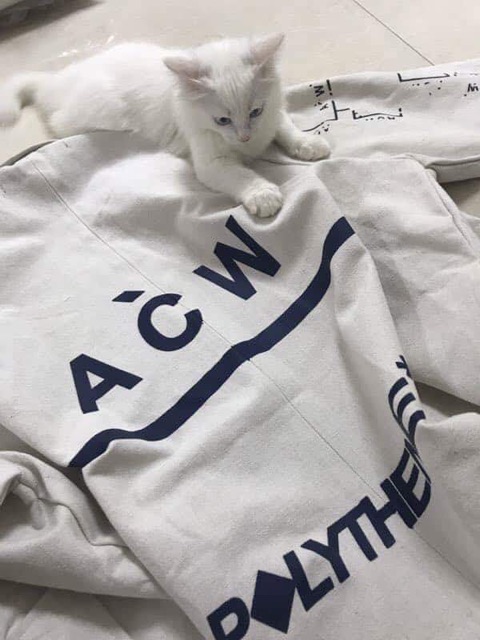 Áo A-COLD-WALL* Canvas Overcoat