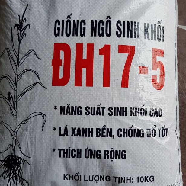 Giống Ngô Sinh Khối Mới ĐH 17-5  Ngô Lai Mới