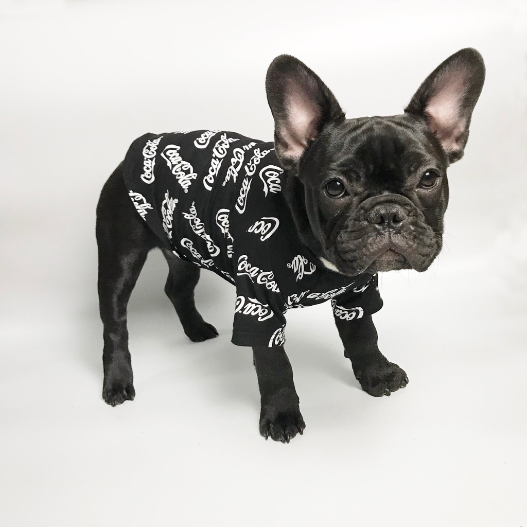 Áo thun mùa hè cho thú cưng tùy chọn màu sắc