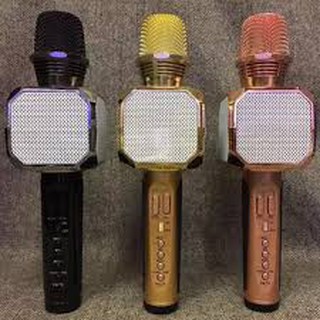 mic hát karaoke  SD10