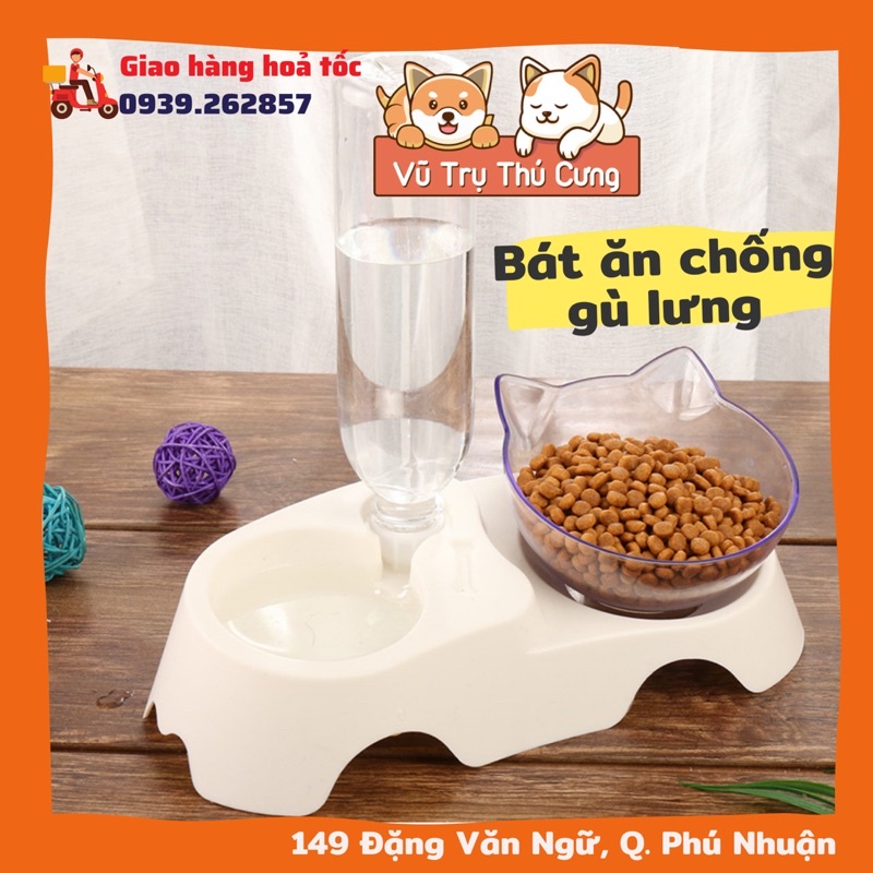 Bát ăn tự động cho thú cưng, chống gù lưng (mẫu tai mèo trong suốt)