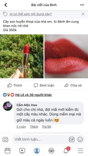 Son Loreal mã 377
