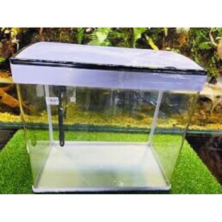 Hàng sẵn - Bể đúc bể cá cảnh MJ M560 56x30x50cm