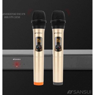 SANSUI KARAOKE SPEAKER DV-91W