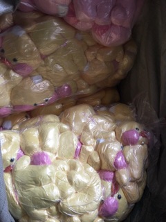 vịt bông