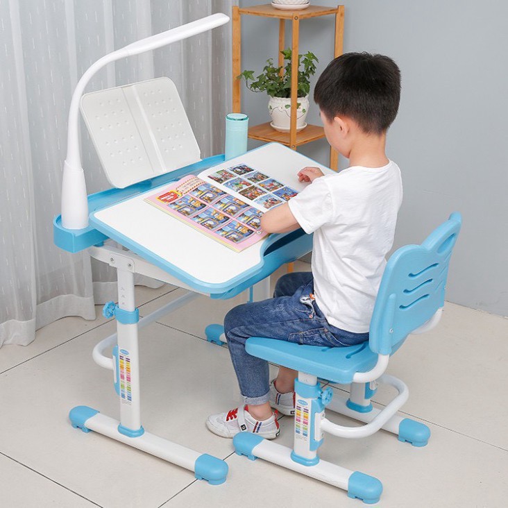 Ghế chống gù Royal D8 _chính hãng | BigBuy360 - bigbuy360.vn