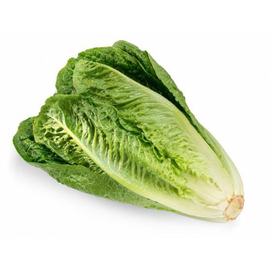 200H - #Hạt_Giống_Xà_Lách_Romaine Xanh_ Tím