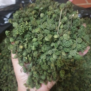 500g nụ hoa tam thất hàng xịn chuẩn rất thơm GIÁ RẺ NHẤT Thảo dược