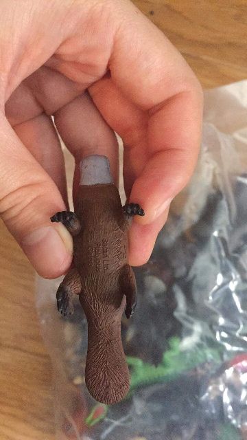 Bộ 36 con vật safari, Mô hình động vật Safari, đồ chơi động vật safari - siêu dễ thương