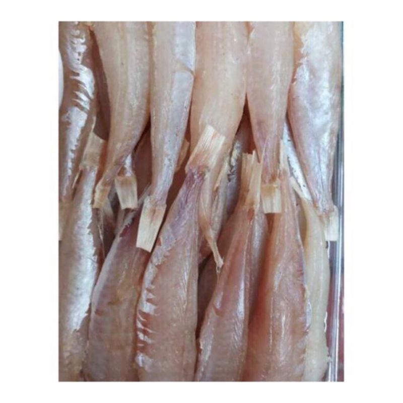 500g cá đùi gà 1 nắng ngon