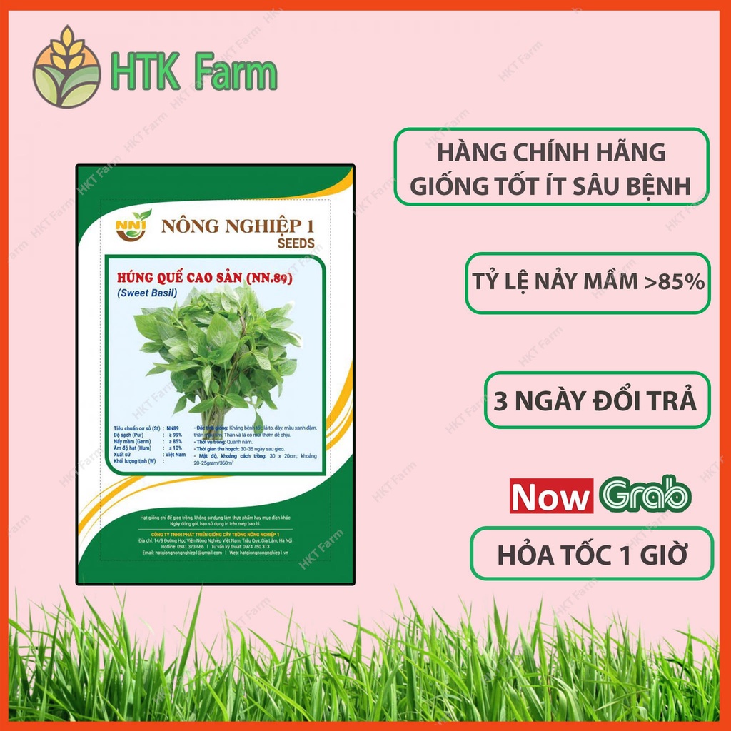 Hạt Giống Húng Quế Cao Sản 5gram - Hạt Giống Húng Chó Cao Sản HKT Farm